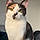 Callie