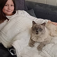 Saphir participe au concours pour gagner de l'argent avec cette photo : girl, cat, couch, blanket, indoor, smile, fluffy_cat, blue_eyes, relaxing, child, pet, cozy, white_clothing, home, furniture, resting, comfort, young_person, long_hair, casual