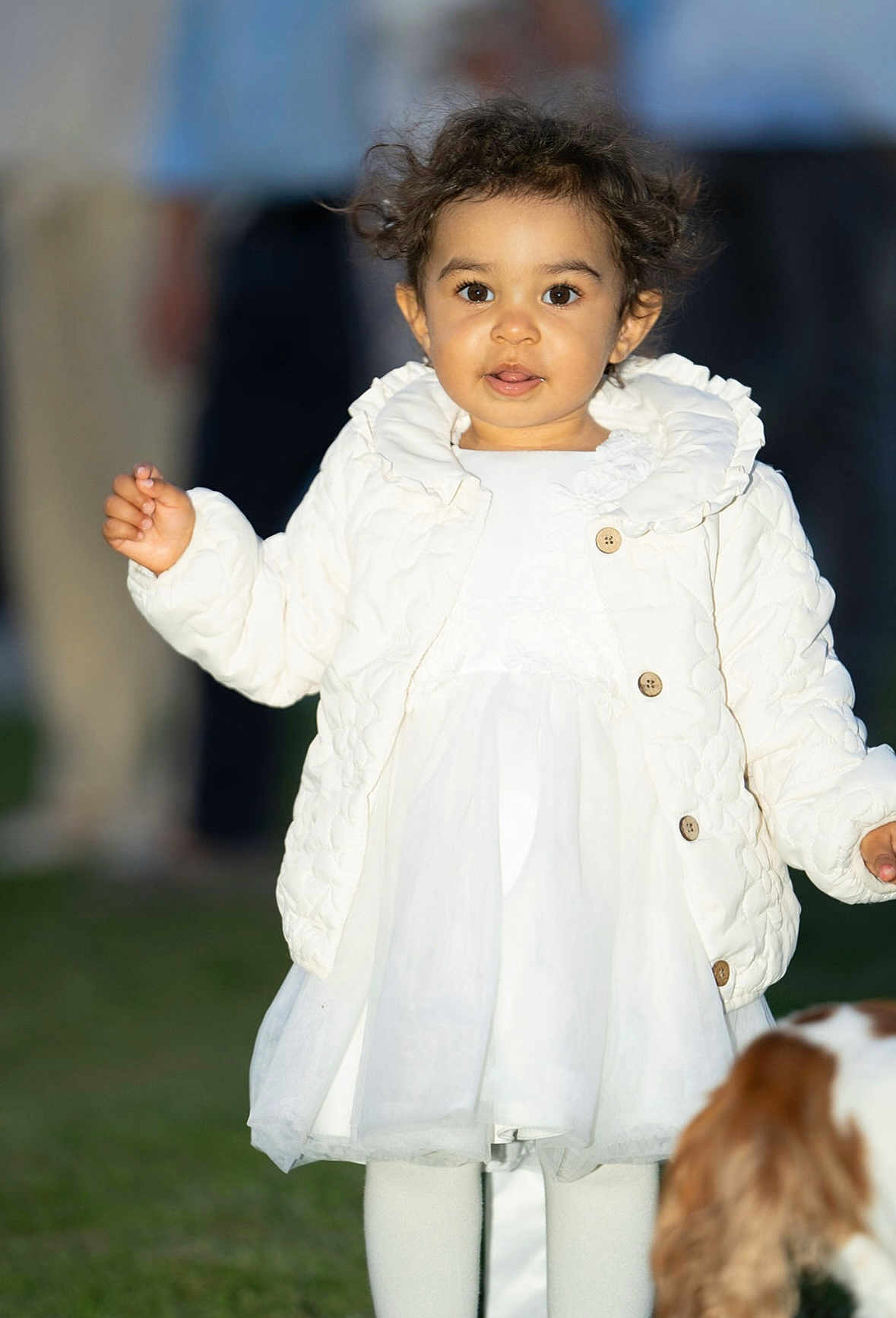 Juliette a rejoint le concours — aidez-le/la à gagner de superbes lots ! toddler, child, white_dress, quilted_jacket, outdoor, grass, dog, pet, curly_hair, portrait, person, cute, young_child, winter_clothing, standing, animal, background_people, fashion, happy, innocent