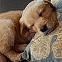 Hoyt is registered to the contest to win money with this photo: