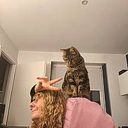 Plume a rejoint le concours — aidez-le/la à gagner de superbes lots ! cat, tabby_cat, person, glasses, peace_sign, curly_hair, office_chair, pink_blanket, indoor, ceiling, recessed_light, window, desk, computer, charging_cable, home_office, pet_on_shoulder, looking_down, playful, profile