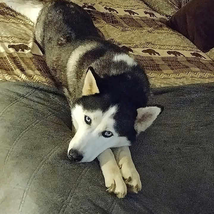 Gracie Mae