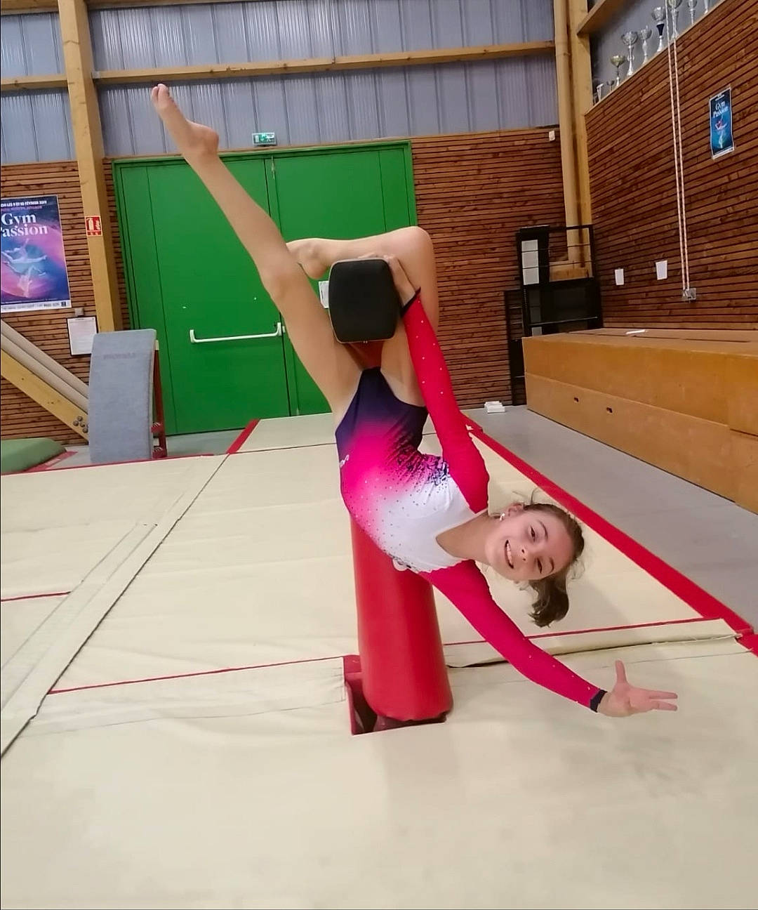 Koralyne participe au concours pour gagner de l'argent avec cette photo : acrobatics, active_pants, ankle, artist, artistic_gymnastics, balance, barefoot, dance, entertainment, gymnastics, hip, human_leg, joy, knee, leotard, performance, performance_art, performing_arts, person, physical_fitness