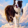 alex, animal, black_and_white, border_collie, clouds, digital_art, dog, fluffy, heavenly, illustration, long_hair, memorial, open_mouth, outdoor, pet, portrait, rainbow_bridge, sky, standing, text