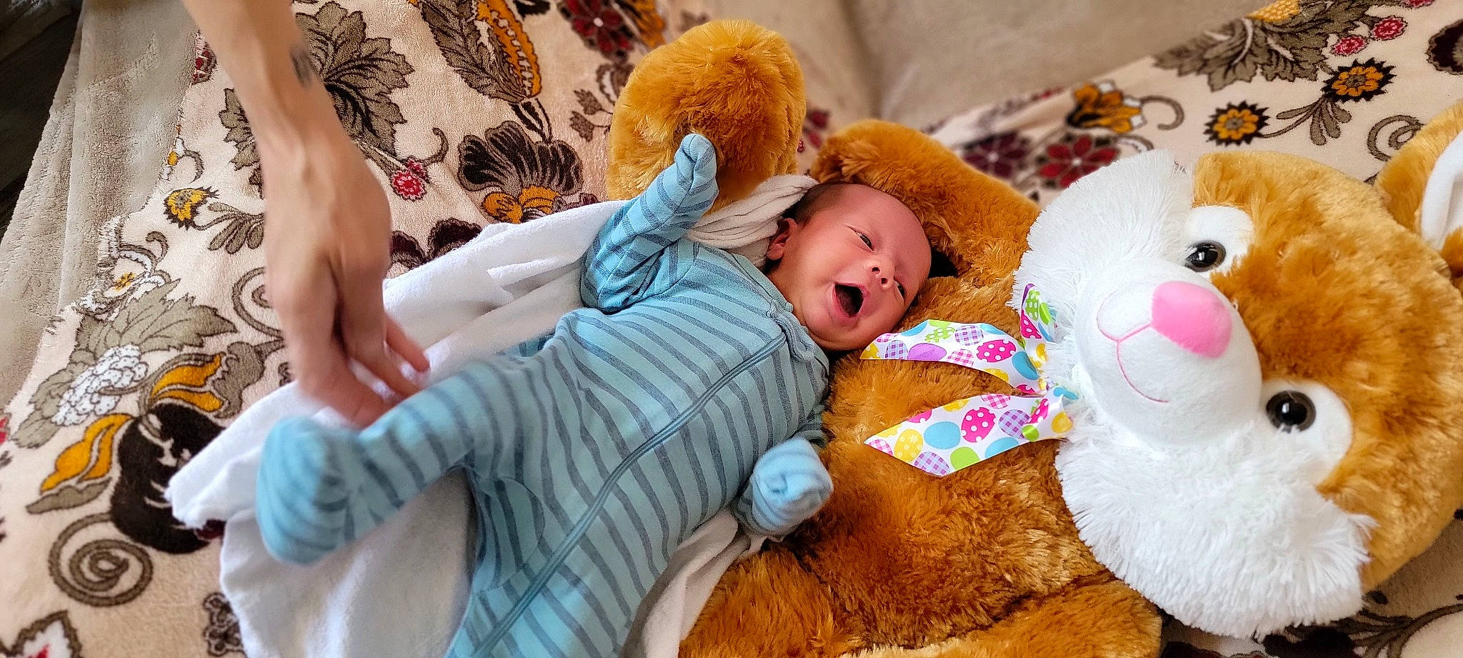 Joseph joined the competition — help win amazing prizes! baby, baby_sleeping, baby_toddler_clothing, baby_toys, cheek, child, comfort, fur, happy, headwear, linens, mammal, person, plush, room, skin, stuffed_toy, teddy_bear, textile, toddler
