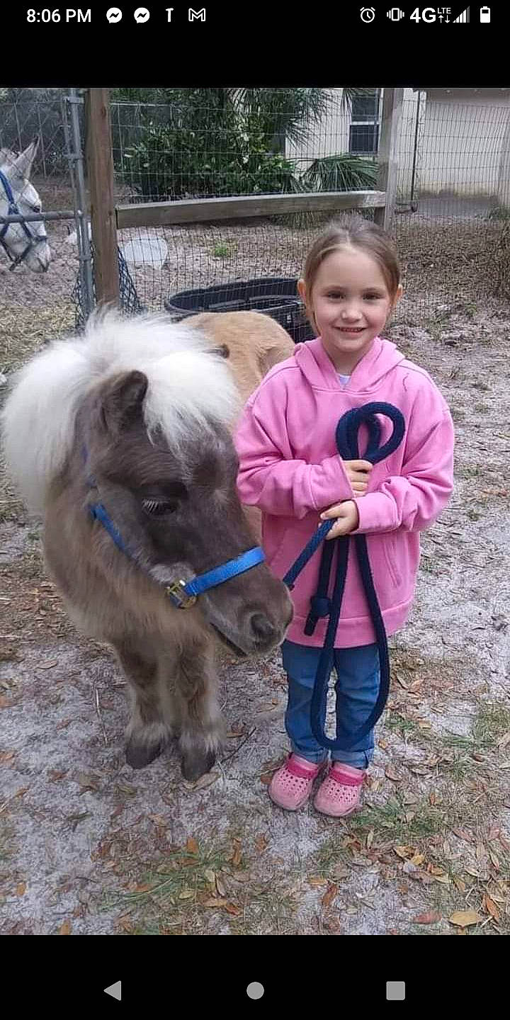 Brooke is registered to the contest to win money with this photo: bovine, dog_breed, fur, grass, hoodie, jacket, joy, livestock, mane, pack_animal, person, smile, terrestrial_animal, toddler, working_animal