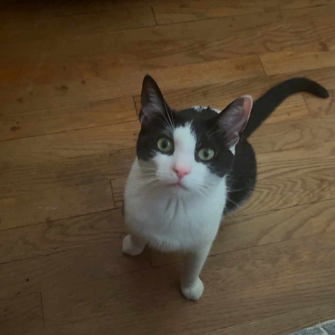 Yuki