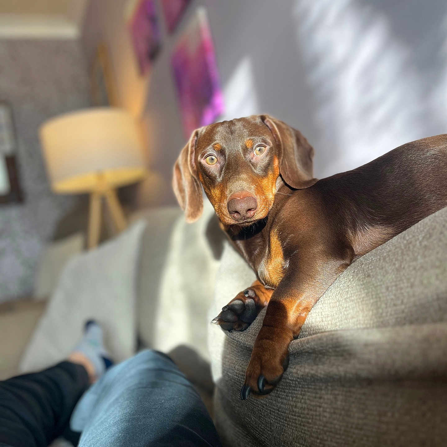 Reggie