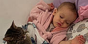 Athena is registered to the contest to win money with this photo: baby, cat, sleeping, blanket, bed, pillow, tabby_cat, pink, purple, cozy, indoor, child, rest, comfort, cute, fur, animal, soft, peaceful, nap