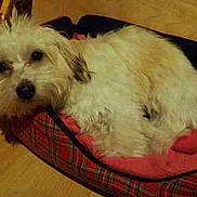 Ilona participe au concours pour gagner de l'argent avec cette photo :