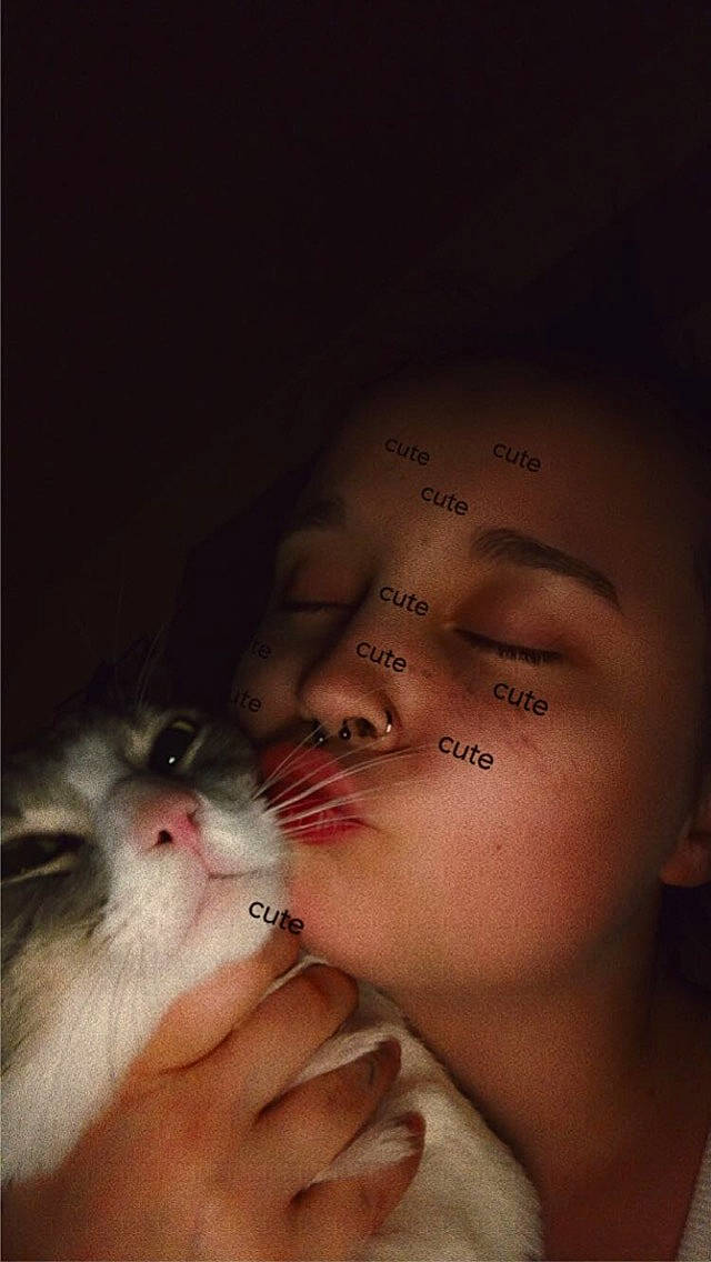 Mochi participe au concours pour gagner de l'argent avec cette photo : cat, darkness, domestic_short_haired_cat, ear, eyelash, facial_hair, felidae, flash_photography, flesh, fur, gesture, happy, iris, jaw, nail, nose, paw, small_to_medium_sized_cats, snout, whiskers