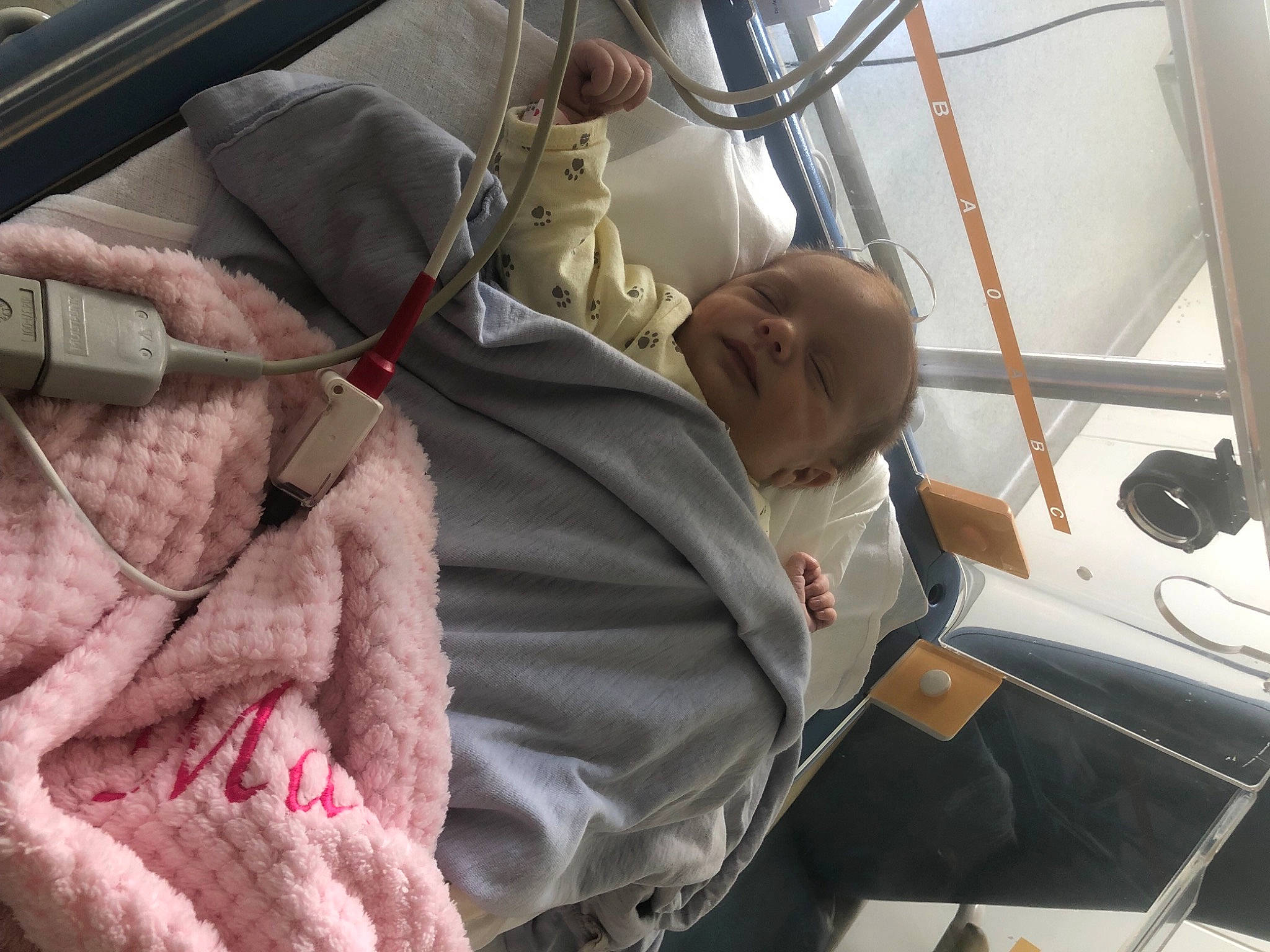 Maeva participe au concours pour gagner de l'argent avec cette photo : baby, baby_products, boat, car_seat, child, comfort, fur, hat, linens, magenta, mammal, naval_architecture, passenger, person, public_transport, sleep, toddler, vertebrate, water_transportation, watercraft