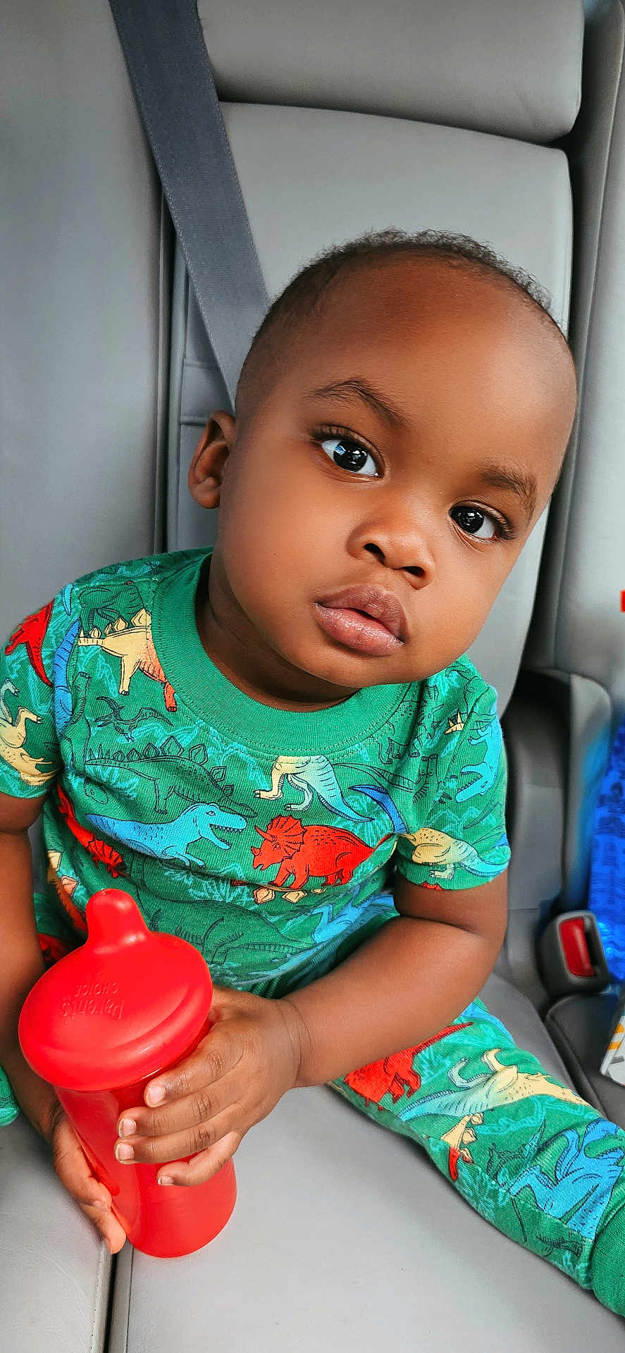 Nico is registered to the contest to win money with this photo: toddler, child, car_seat, green_clothing, dinosaur_print, red_sippy_cup, seat_belt, curious_expression, indoor, portrait, small_hands, short_hair, casual_wear, young_child, sitting, face, looking_at_camera, bright_colors, close_up, person