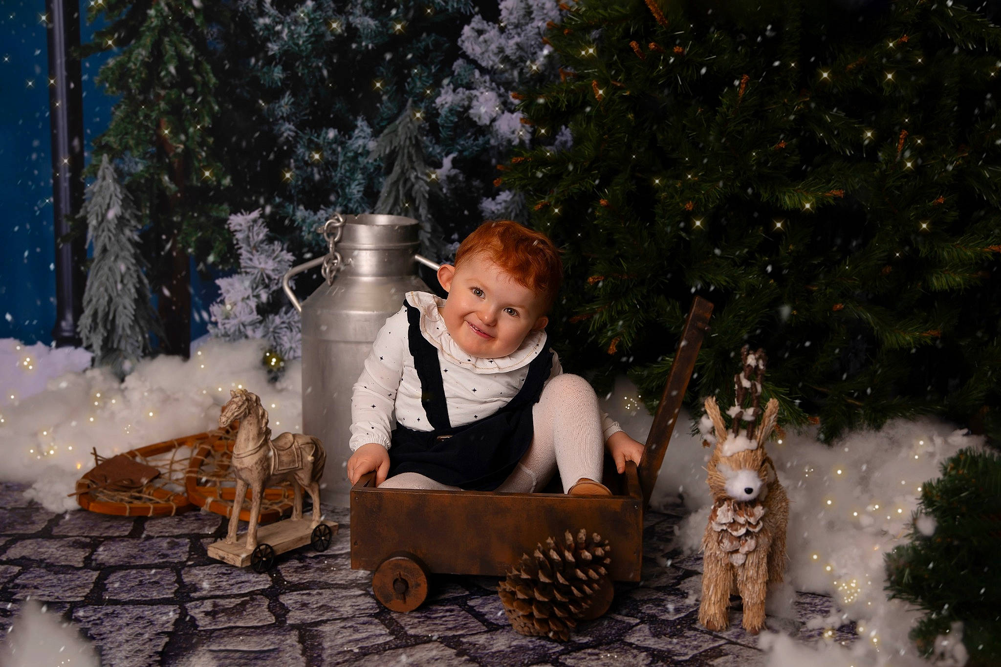 Sophia a rejoint le concours — aidez-le/la à gagner de superbes lots ! adaptation, carnivore, christmas_decoration, christmas_ornament, event, fawn, fun, grass, happy, holiday, joy, ornament, people_in_nature, person, plant, sitting, smile, snow, toddler, toy