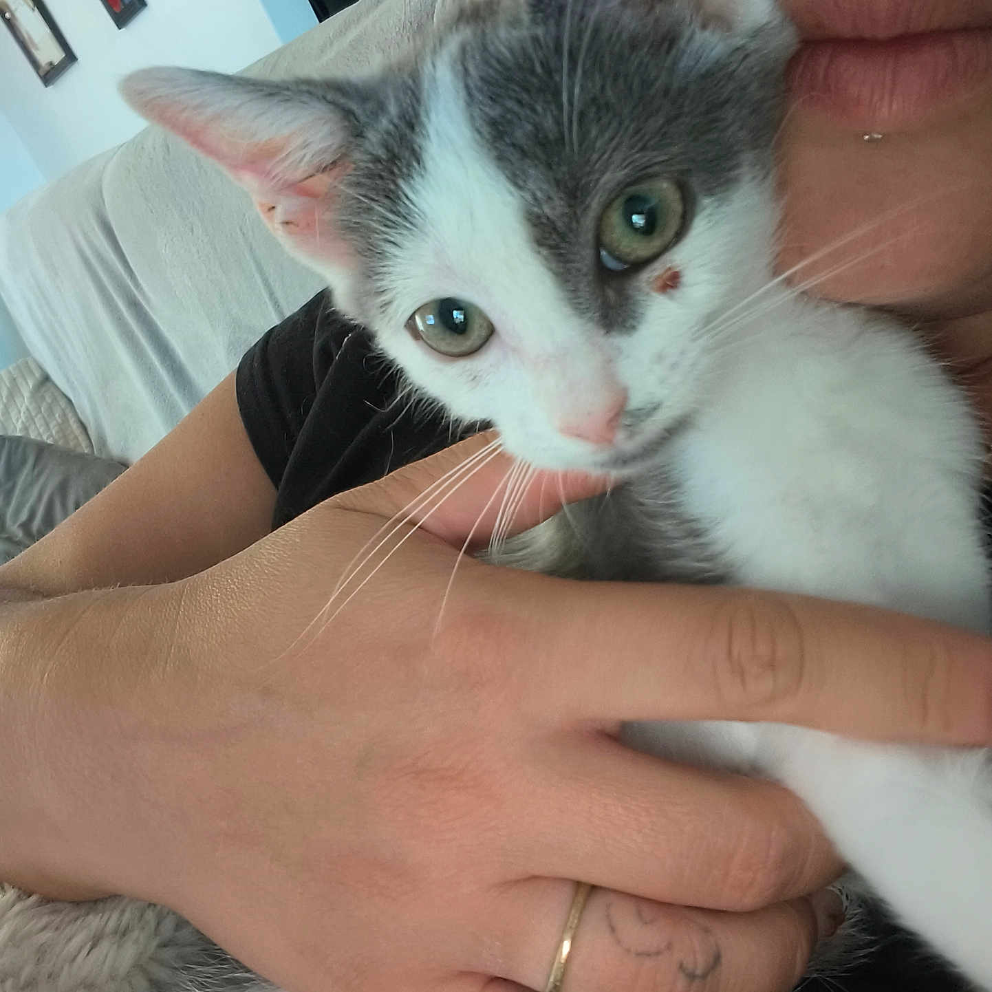 Bella