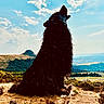 sculpture, dog, animal, art, outdoor, nature, sky, clouds, hill, landscape, grass, field, resting, large, texture, contrast, blue_sky, sunlight, shadow, calm