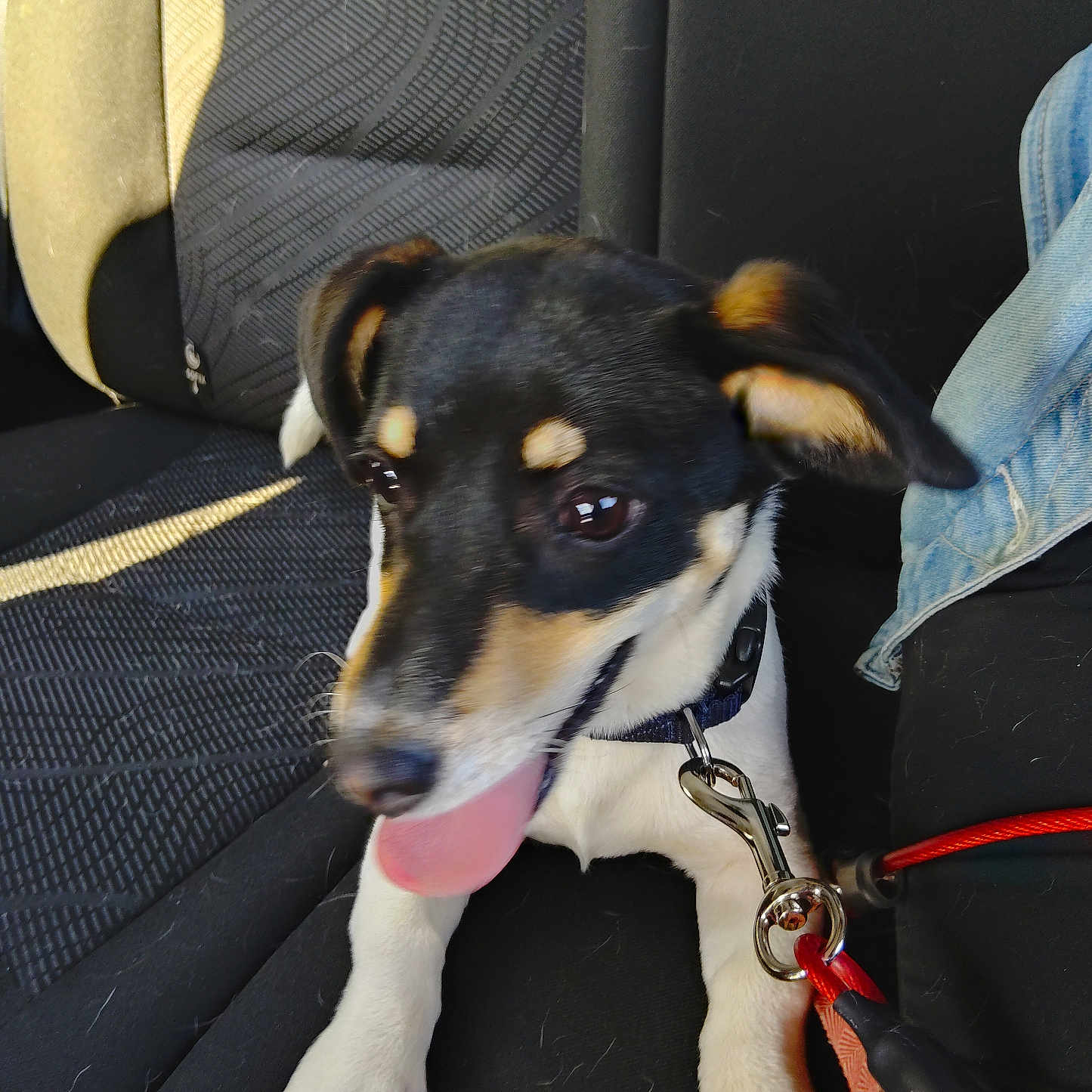 Aiko