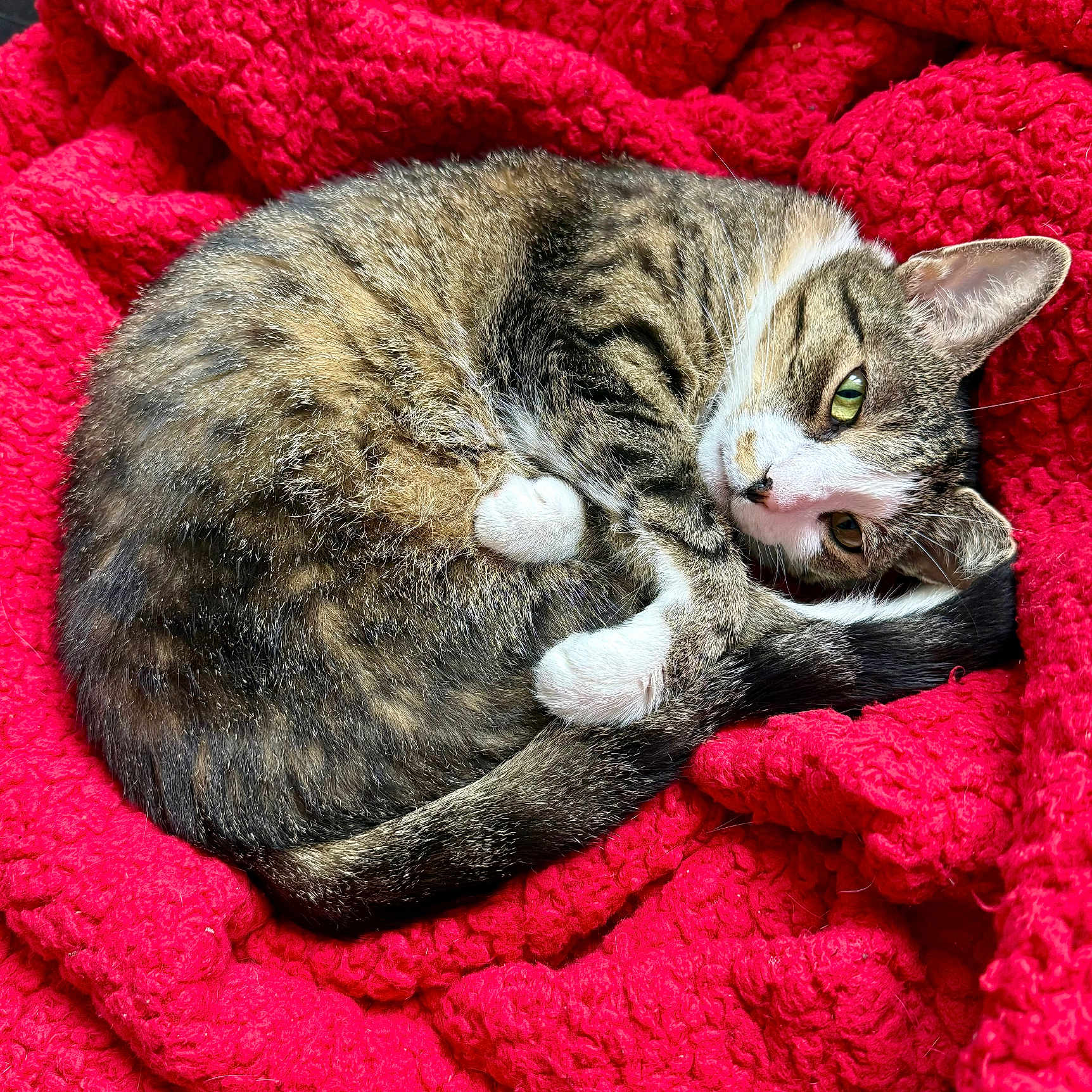 Luna