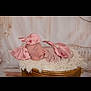 baby, newborn, sleeping, pink_bow, basket, fluffy_blanket, infant, cute, portrait, soft_lighting, cozy, sleep, adorable, headwear, decor, neutral_background, peaceful, baby_clothes, infant_pose, resting