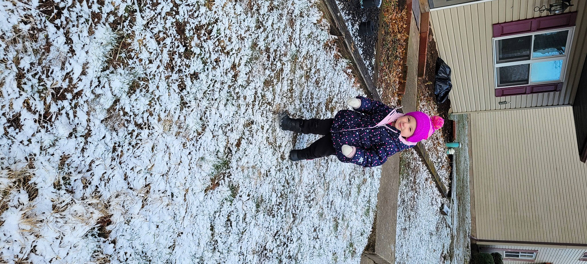 Charlotte is registered to the contest to win money with this photo: adventure, climbing_harness, freezing, fun, headwear, leisure, magenta, person, plant, recreation, rope, slope, snow, sport_climbing, toddler, tree, twig, winter