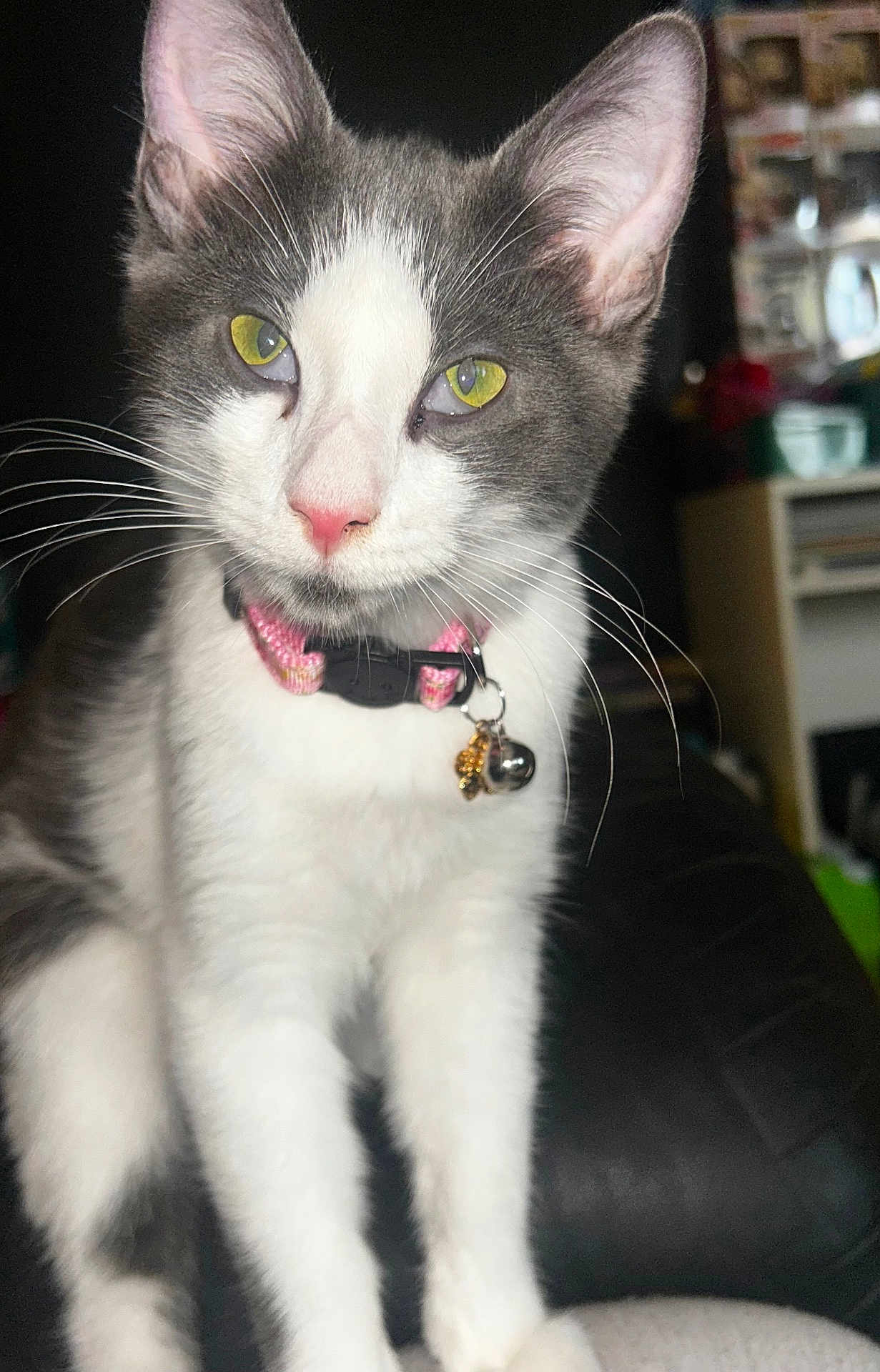 Lacey