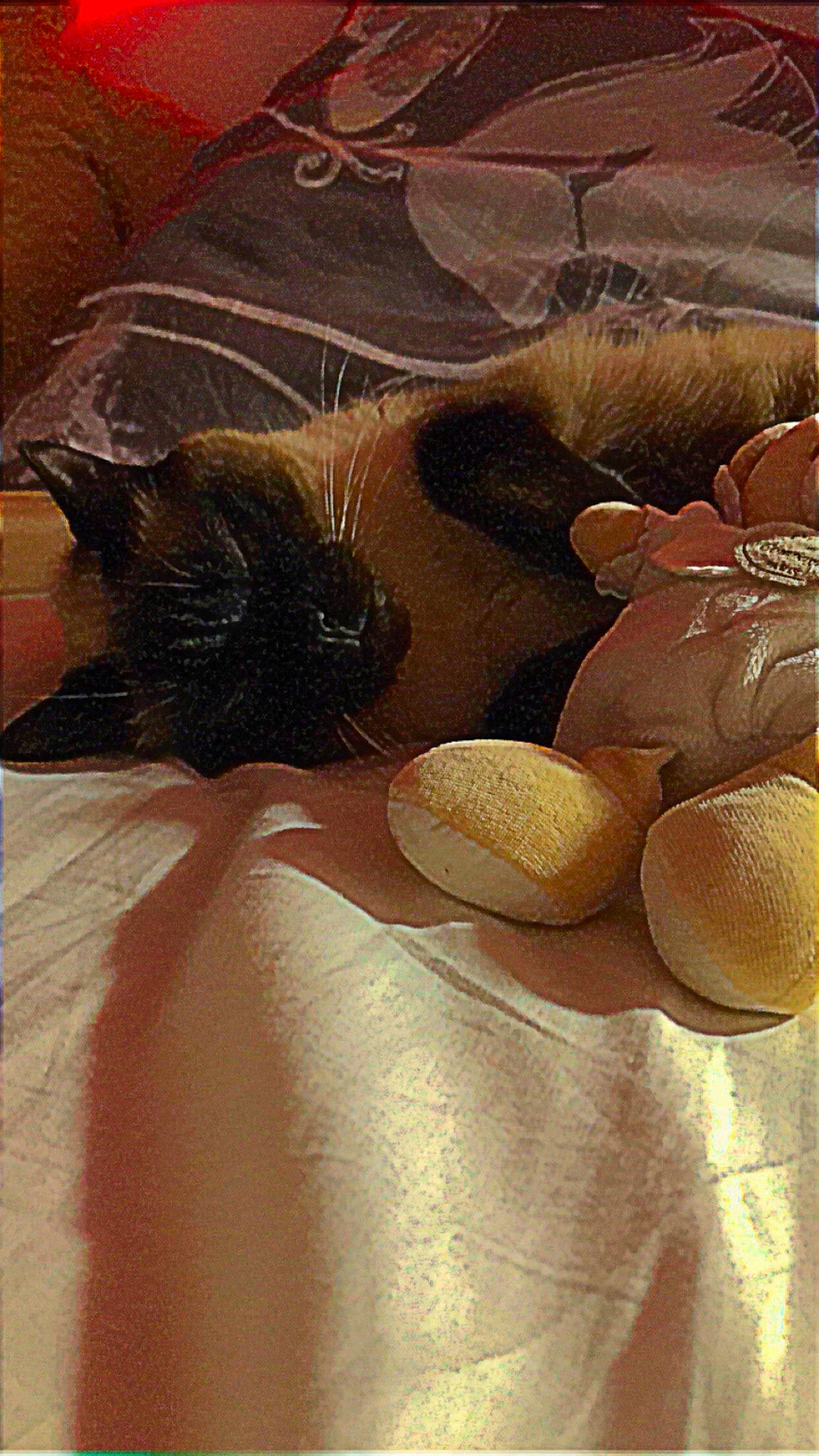 Nounours participe au concours pour gagner de l'argent avec cette photo : art, carnivore, cat, comfort, domestic_short_haired_cat, fawn, felidae, flooring, foot, fur, human_leg, linens, paw, peach, small_to_medium_sized_cats, tail, tints_and_shades, visual_arts, whiskers, wood