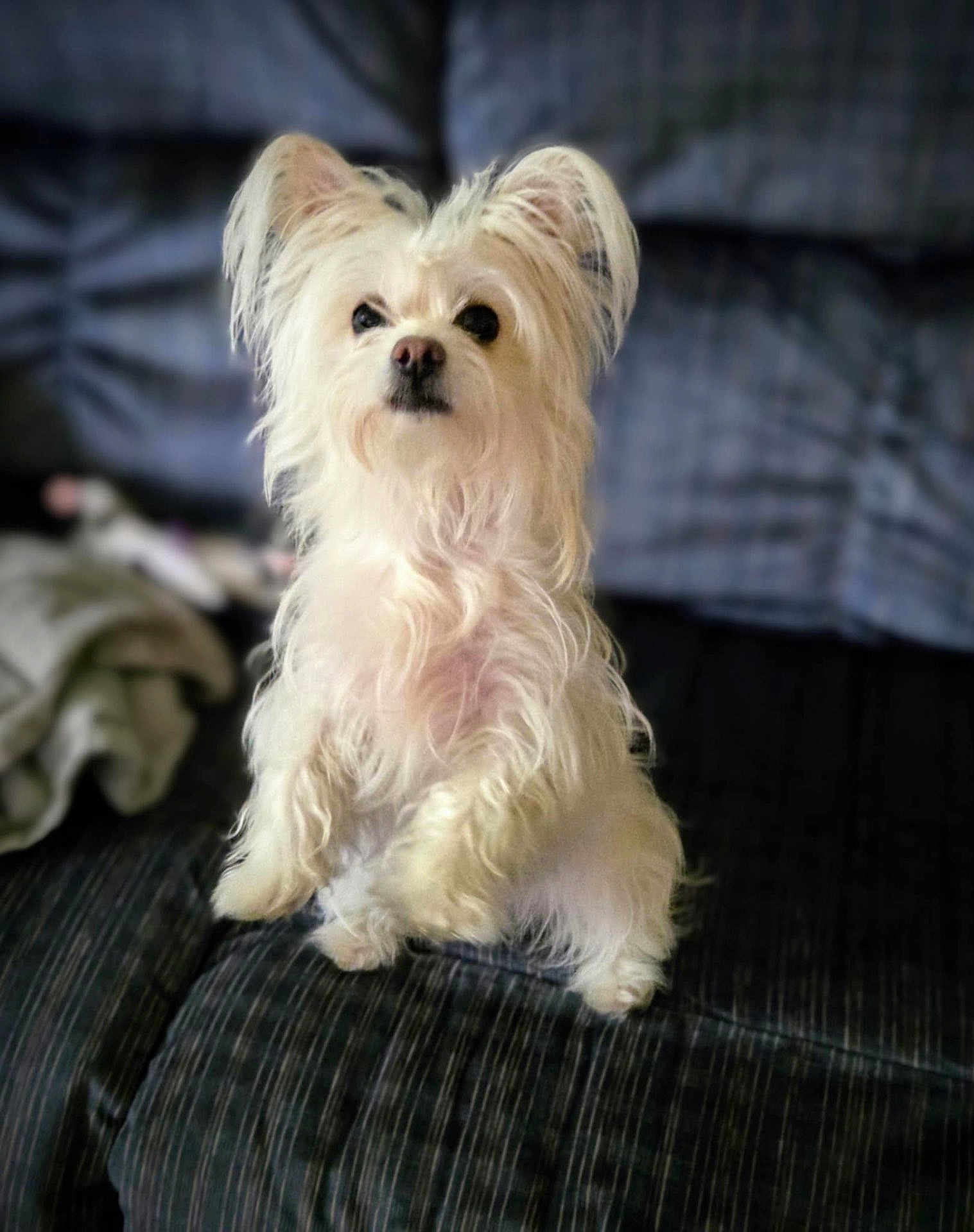 Zoey