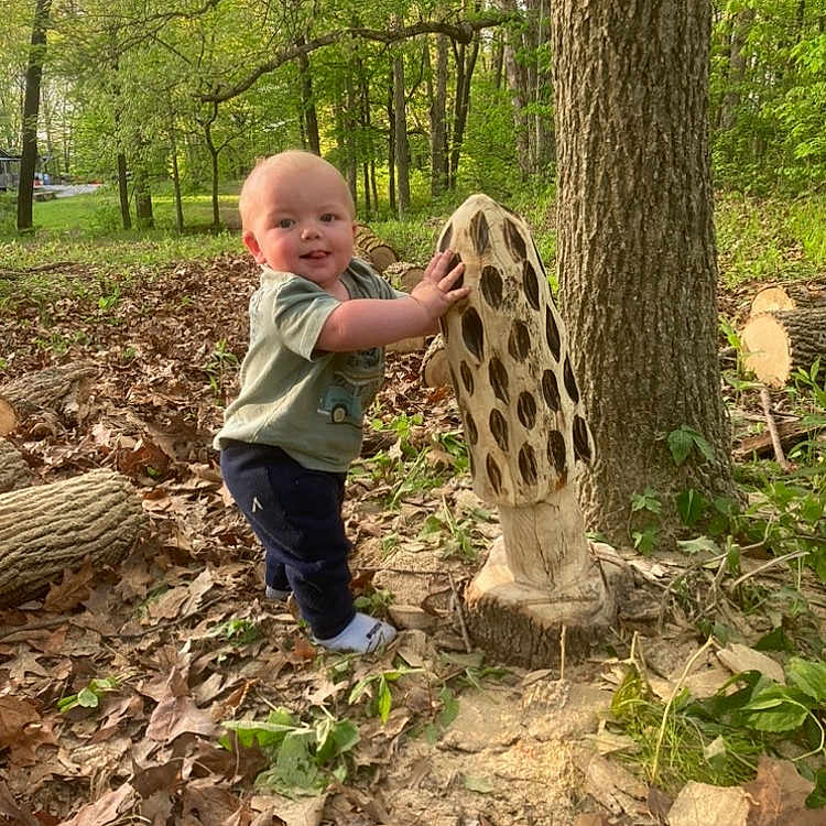 Riot is registered to the contest to win money with this photo: baby, carving, casual_clothing, child, curious, forest, grass, greenery, leaves, nature, outdoor, park, playful, sculpture, smiling, standing, sunlight, tree, trunk, wood
