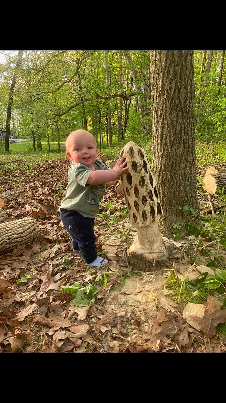 Riot is registered to the contest to win money with this photo: baby, child, outdoor, forest, tree, wood, carving, sculpture, leaves, nature, playful, curious, smiling, standing, greenery, trunk, sunlight, park, grass, casual_clothing
