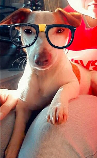 Polka participe au concours pour gagner de l'argent avec cette photo : beard, chest, comfort, eyelash, eyewear, facial_hair, finger, gesture, glasses, goggles, hand, happy, hat, jaw, mouth, nose, smile, sunglasses, thumb, vision_care