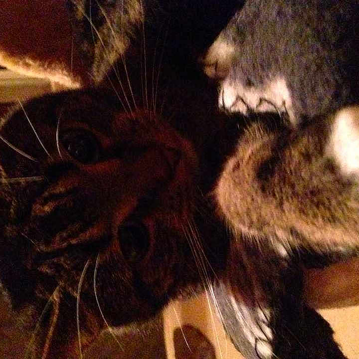 Lexy joined the competition — help win amazing prizes!