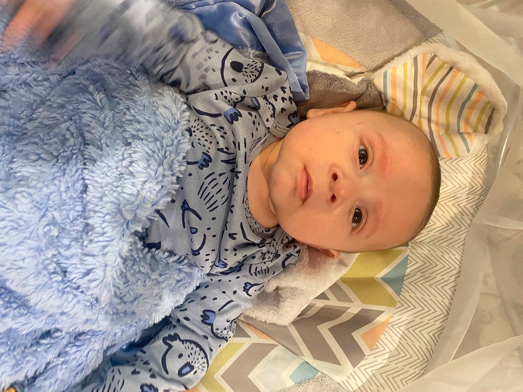 Kylo is registered to the contest to win money with this photo: baby, baby_toddler_clothing, bedding, bedtime, cheek, child, comfort, eye, eyebrow, face, iris, linens, pattern, person, room, skin, sleep, textile, toddler, tree
