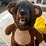 dog, costume, bear_outfit, indoor, living_room, carpet, happy, pet, animal, canine, fur, cute, smiling, collar, toy, home, brown, plush, portrait, funny