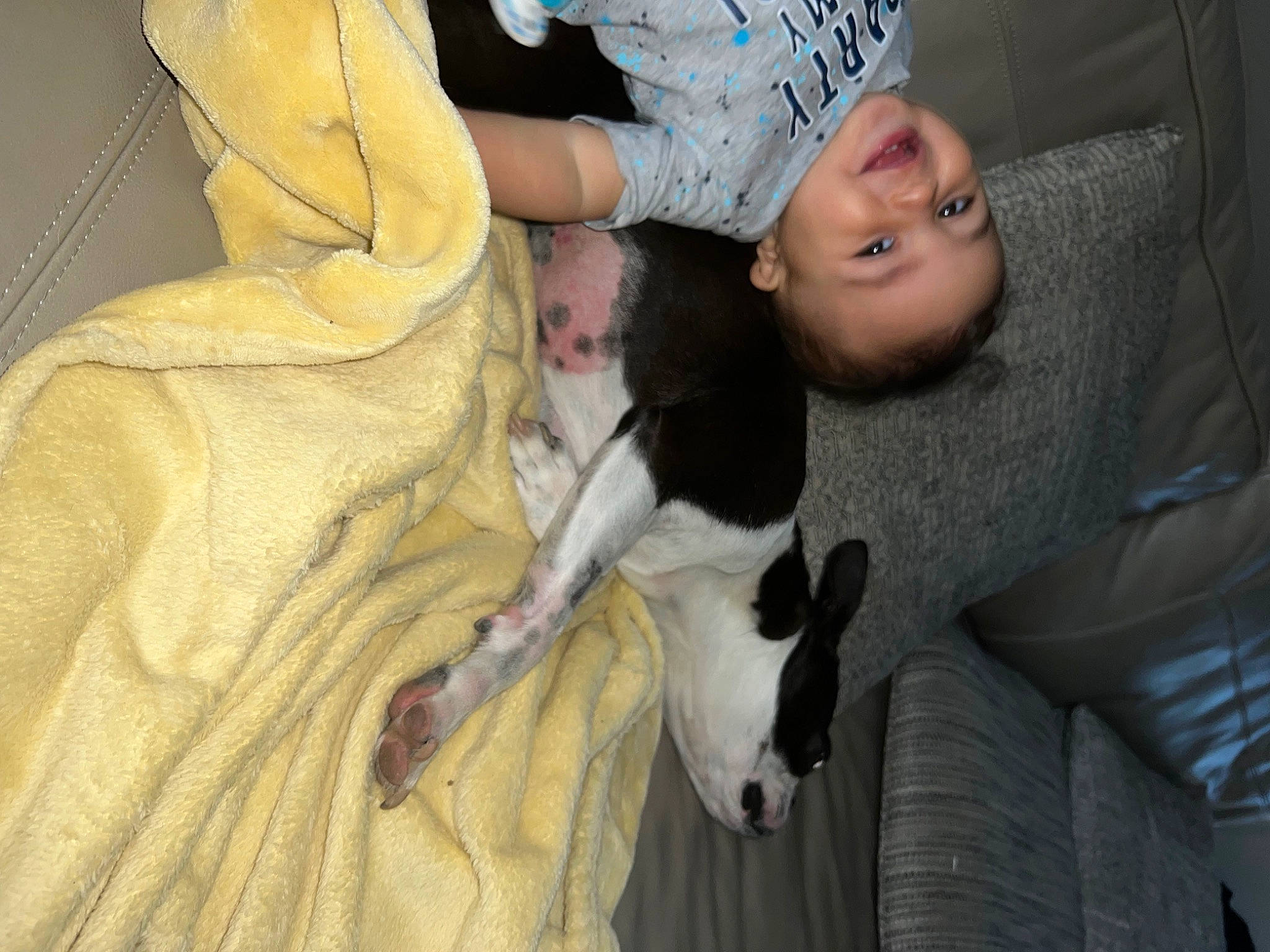 Mak joined the competition — help win amazing prizes! baby, canidae, carnivore, cat, child, comfort, companion_dog, dog_breed, fawn, felidae, fun, fur, happy, joy, lap, person, small_to_medium_sized_cats, smile, sporting_group, toddler