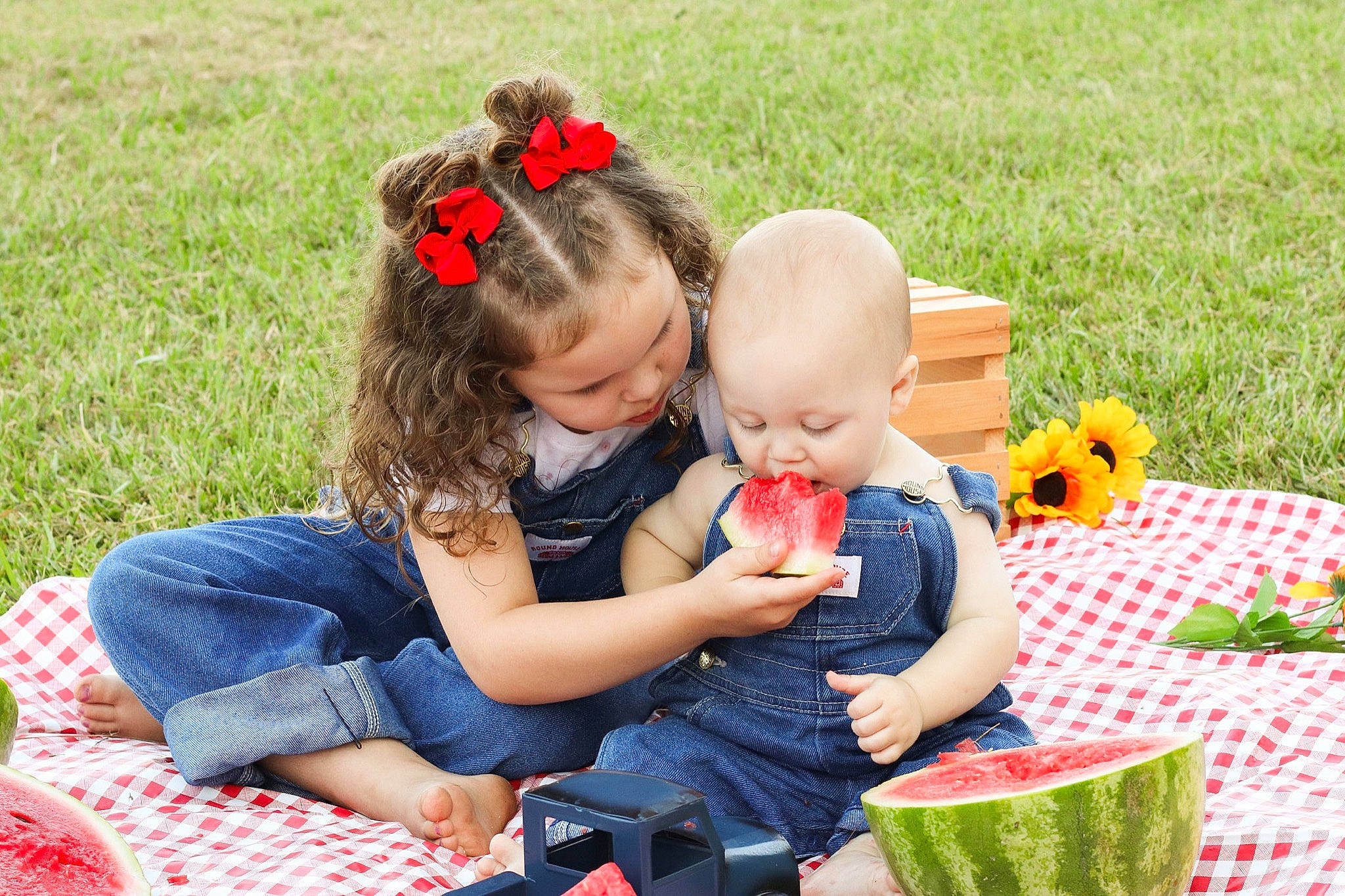 Railynn is registered to the contest to win money with this photo: baby, baby_toddler_clothing, fun, grass, green, happy, leaf, leisure, orange, people, people_in_nature, person, photograph, plant, playing_with_kids, recreation, red, sharing, summer, toddler