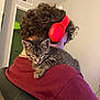 Trash joined the competition — help win amazing prizes! cat, kitten, person, headphones, curly_hair, red_headphones, maroon_shirt, indoor, chair, sleeping, pet, shoulder, cozy, close_up, furniture, home, relaxing, cute, animal, domestic_animal