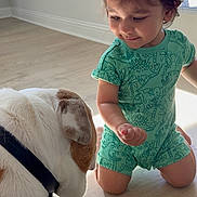 Abir is registered to the contest to win money with this photo: child, toddler, dog, bulldog, pet, indoor, floor, window, blinds, light, curiosity, romper, green_clothing, animal, young_child, interaction, collar, kneeling, wooden_floor, daylight