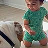 child, toddler, dog, bulldog, pet, indoor, floor, window, blinds, light, curiosity, romper, green_clothing, animal, young_child, interaction, collar, kneeling, wooden_floor, daylight