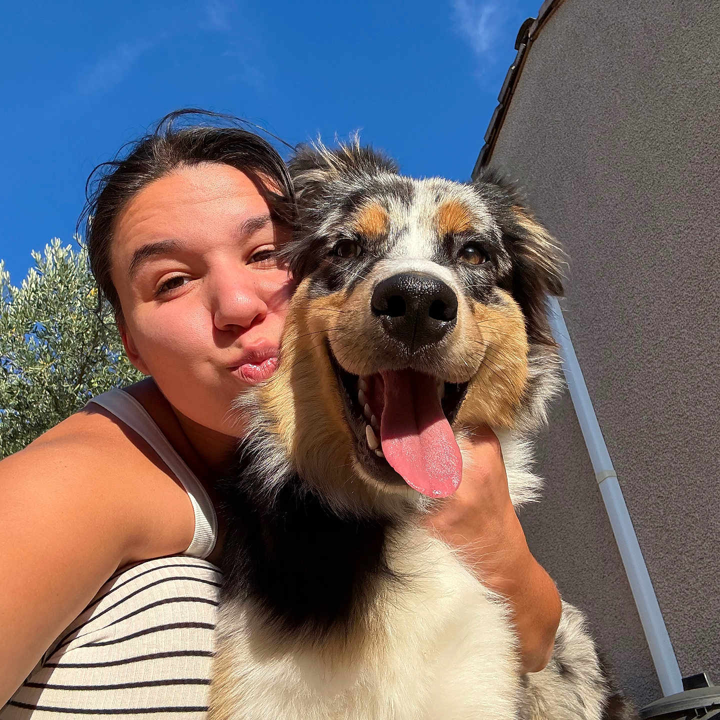 Aiko a rejoint le concours — aidez-le/la à gagner de superbes lots ! blue_sky, cute, daytime, dog, expression, face, fur, hand, happy, head, outdoor, pet, selfie, smiling, striped_clothing, sunlight, tongue_out, tree, wall, woman