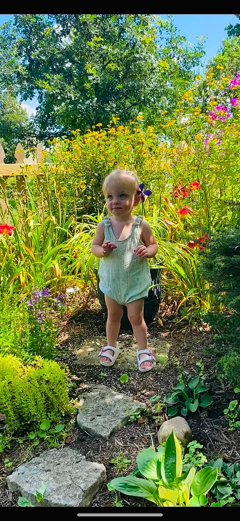 Katara joined the competition — help win amazing prizes! biome, botany, flower, grass, groundcover, landscape, natural_landscape, nature, people_in_nature, person, plant, plant_community, shorts, shrub, smile, summer, sunlight, terrestrial_plant, toddler, tree