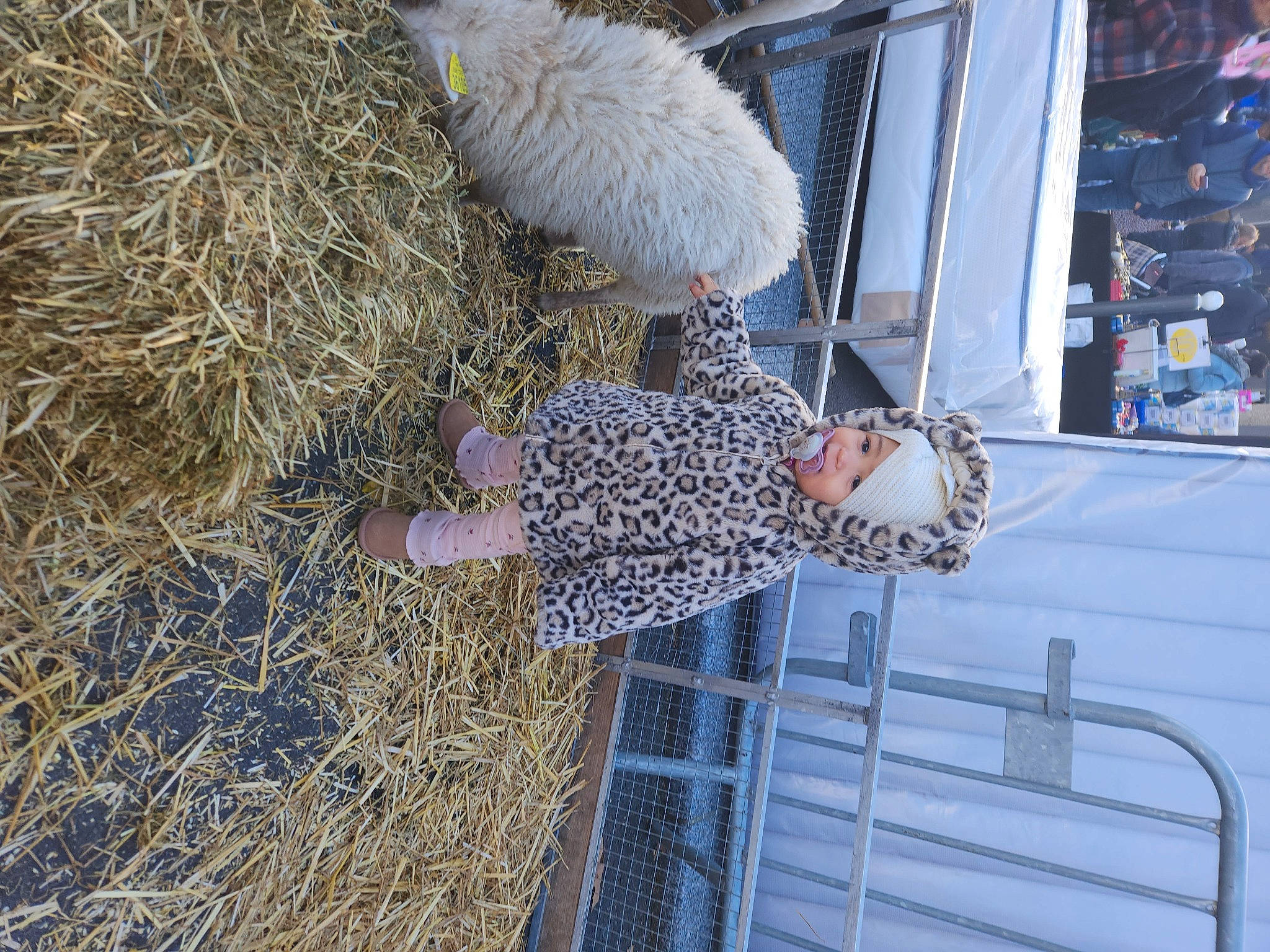 Amélia a rejoint le concours — aidez-le/la à gagner de superbes lots ! agriculture, fun, fur, grass, hay, headwear, pattern, person, soil, straw, tree, winter