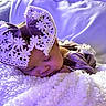 baby, sleeping, bow, lace, blanket, purple_light, cozy, soft_texture, infant, headwear, cute, peaceful, rest, closeup, portrait, indoors, fabric, snuggled, child, toddler