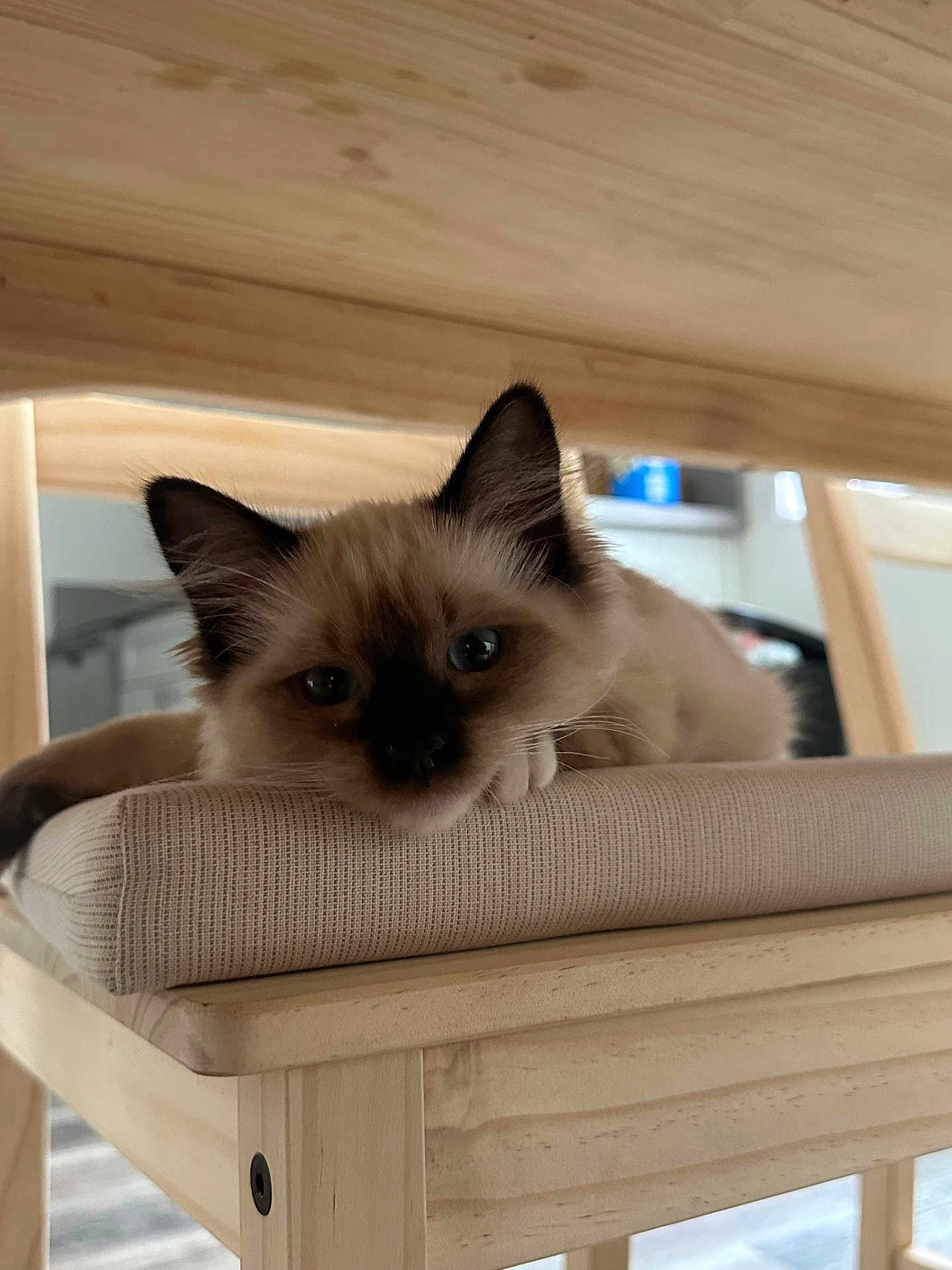 Kit
