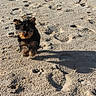 Jazz participe au concours pour gagner de l'argent avec cette photo :