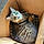 Kitty La Rue