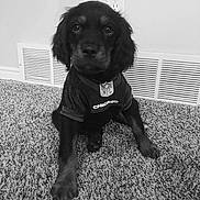 Walter is registered to the contest to win money with this photo: