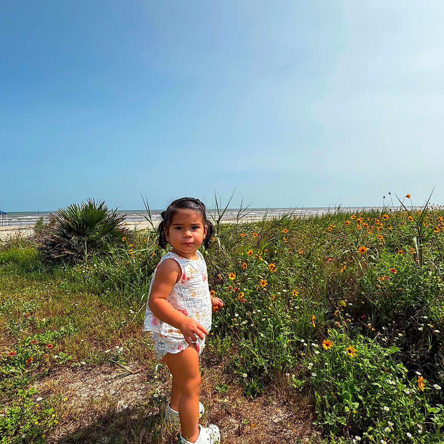 Vanessa is registered to the contest to win money with this photo: child, toddler, girl, portrait, outdoor, beach, ocean, seaside, wildflowers, flowers, meadow, grass, sunny, sky, waves, nature, summer, standing, clothing, shoes