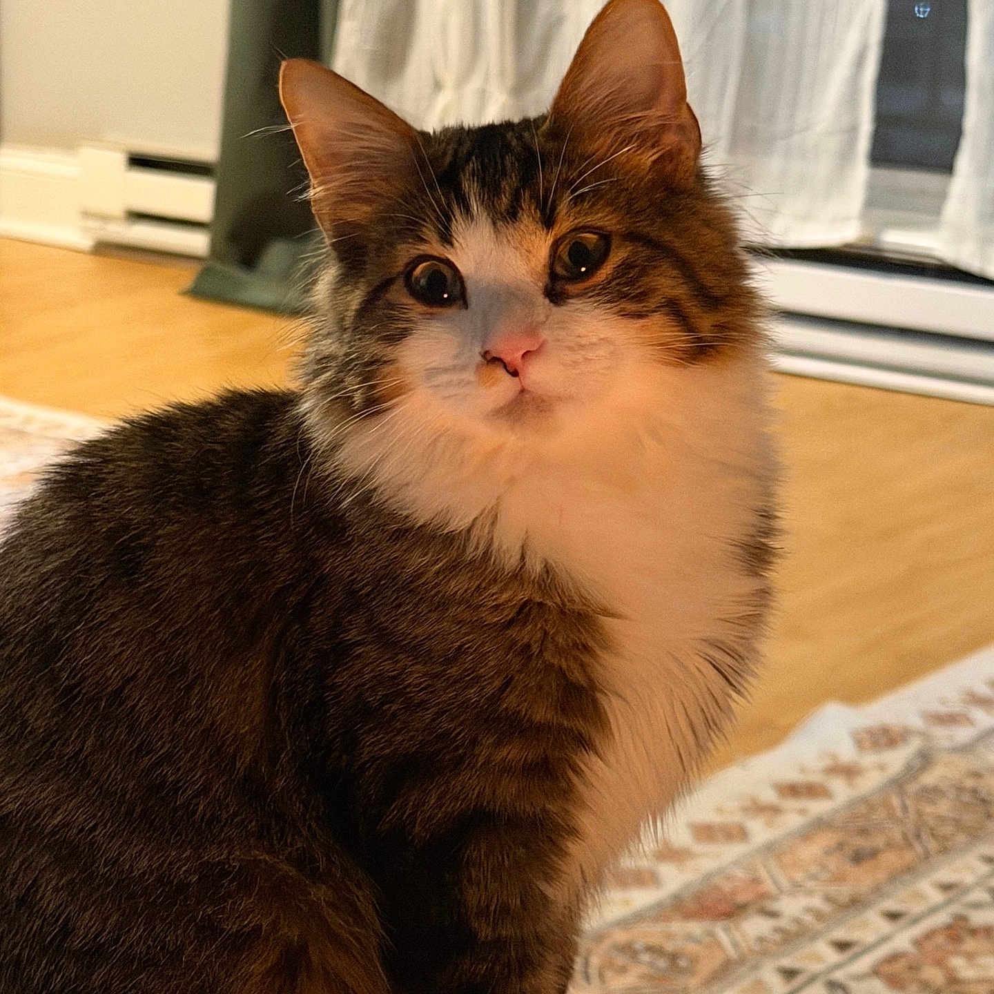 Milo