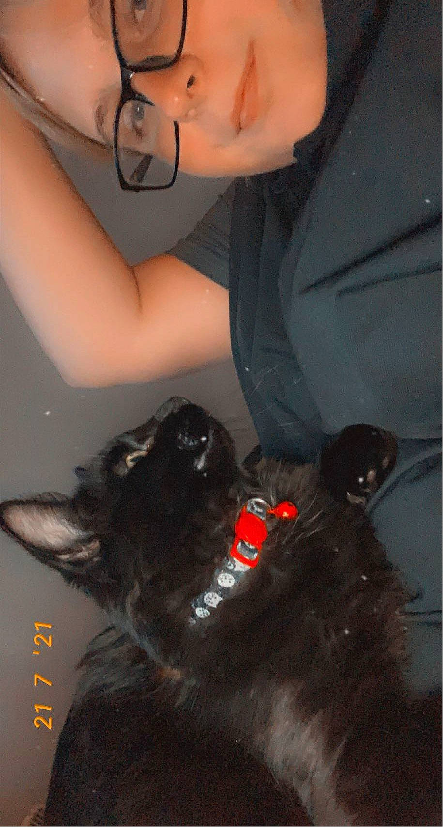 Ashton is registered to the contest to win money with this photo: black_cat, carnivore, chest, companion_dog, dog_breed, ear, elbow, eyewear, felidae, fur, gesture, jewellery, personal_protective_equipment, small_to_medium_sized_cats, snout, sunglasses, thigh, trunk, waist, whiskers