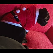 Vénus a rejoint le concours — aidez-le/la à gagner de superbes lots ! architecture, building, clothing, coat, couch, cushion, face, furniture, glove, head, homedecor, indoors, interiordesign, jacket, livingroom, person, photography, plush, portrait, toy